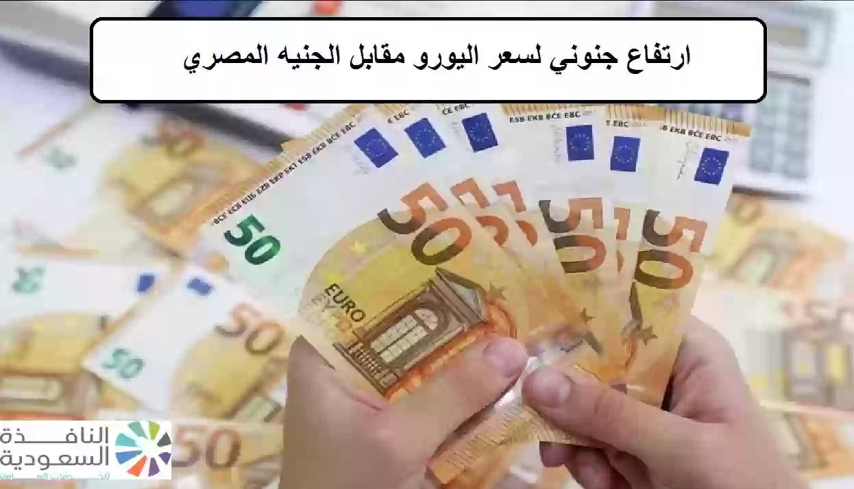 سعر اليورو مقابل الجنيه المصري اليوم