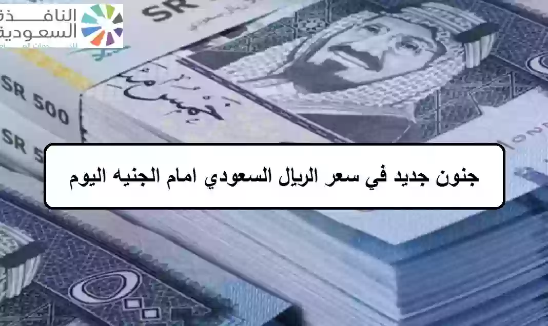 سعر الريال السعودي امام الجنيه اليوم